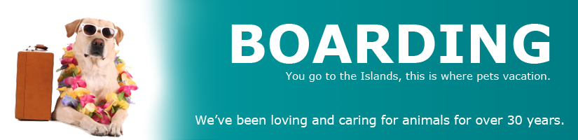 Boarding Page Banner